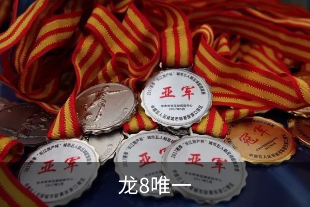 龙8唯一公司介绍